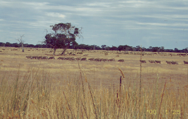 South Australia