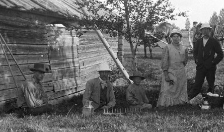 Slåtter vid Björklig 1905