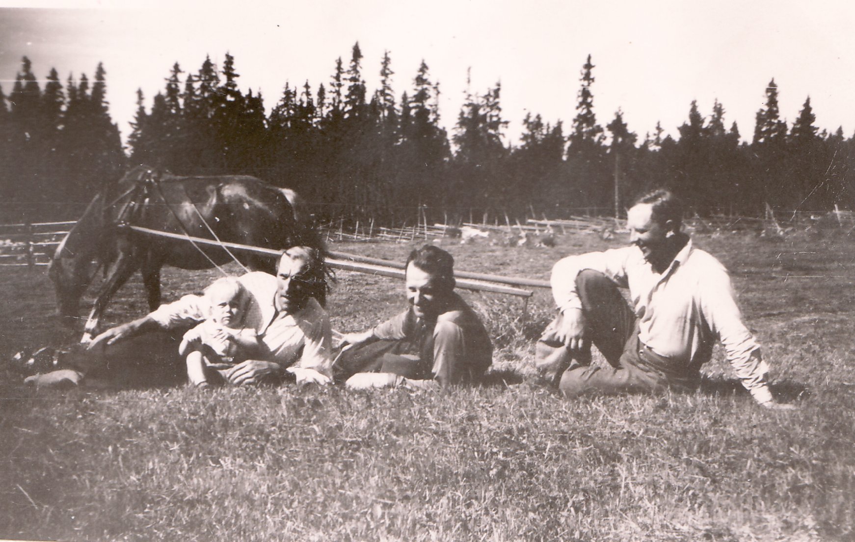 Slåtter 1943, Rölle, Nisse, Jan, morbror Erik och okänd