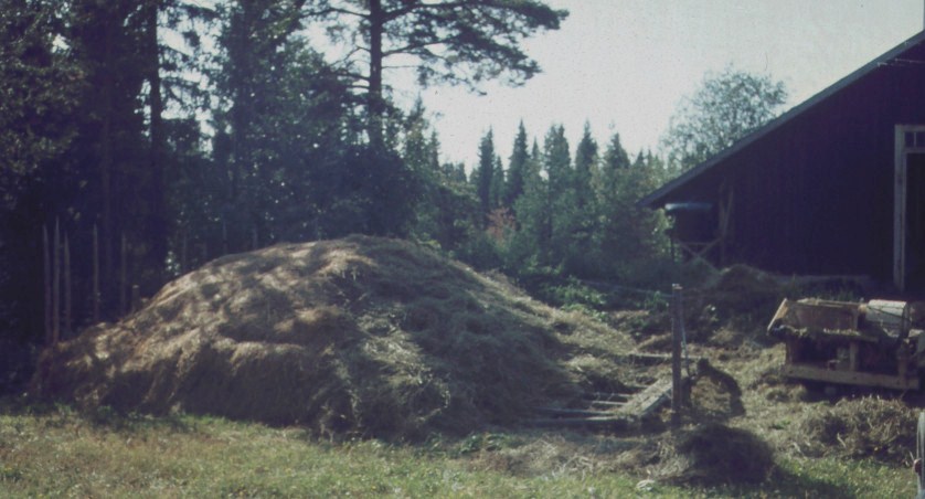 utetork o halmfläkttönmning 1969