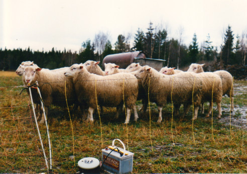 1989 Avelsbagglamm med elaggr. och vattentank