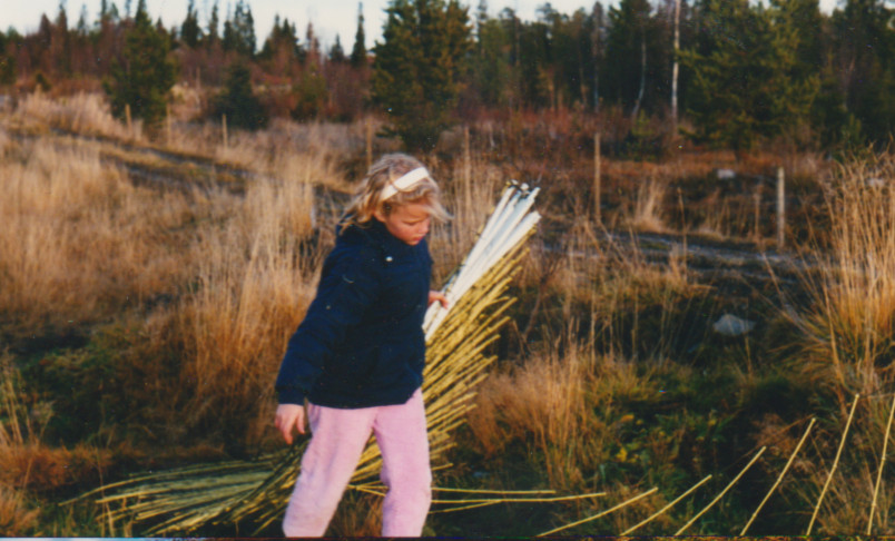 1989 Uppsättning på nyodlingen