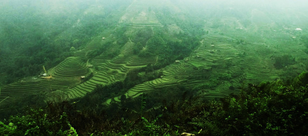 Bergjordbruk Nordvietnam